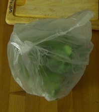 cilantro covered with a plastic bag