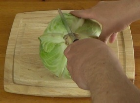 cutting a head of cabbage in half