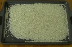 sesame seeds before toasting