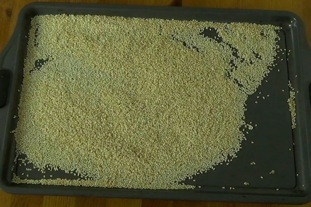 sesame seeds after toasting